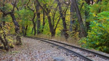 Kırmızı-mavi hareketli tren yakın çekim güzel sonbahar orman