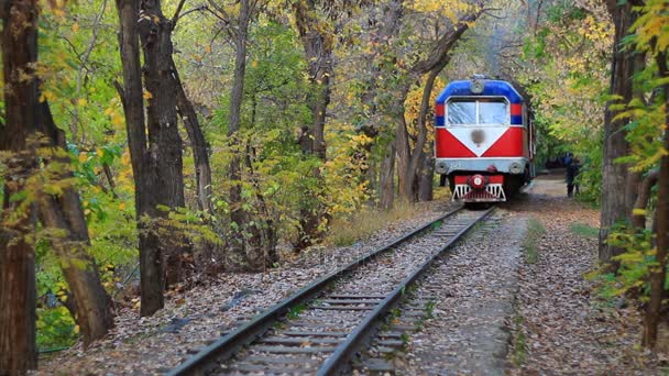 Treno in uscita sulla bellissima foresta autunnale — Video Stock