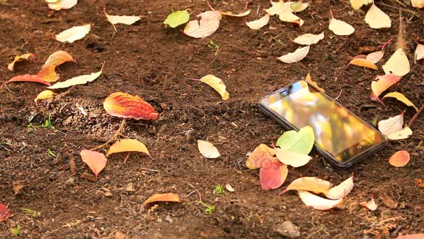 Yerde yatan bir siyah telefon üzerinde düşen sonbahar yaprakları — Stok video