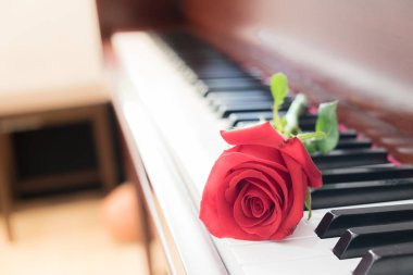 Kırmızı gül çiçek kilisede piyano. Vintage filtre efekti.