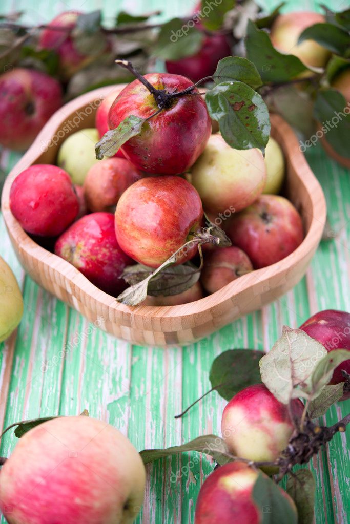 biologische appels biologische appels