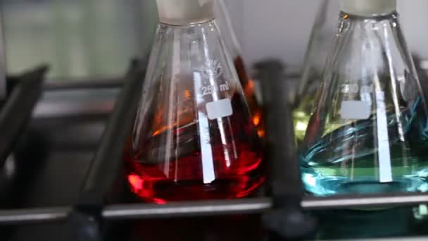 Kolven met kleurrijke chemische stoffen op het laboratorium voor Farmacotechnologie — Stockvideo