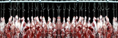 Pork meat hanged on a hooks in a butchery clipart