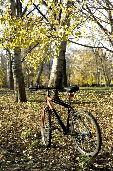 Promenade à vélo dans un parc de la ville — Photo