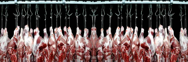 Pork meat hanged on a hooks in a butchery — Stock Photo, Image