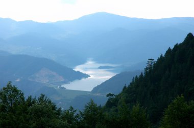 Sırbistan 'daki Tara Ulusal Parkı