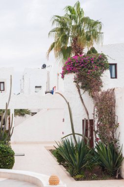   Güzel otel peyzaj ile eski stil