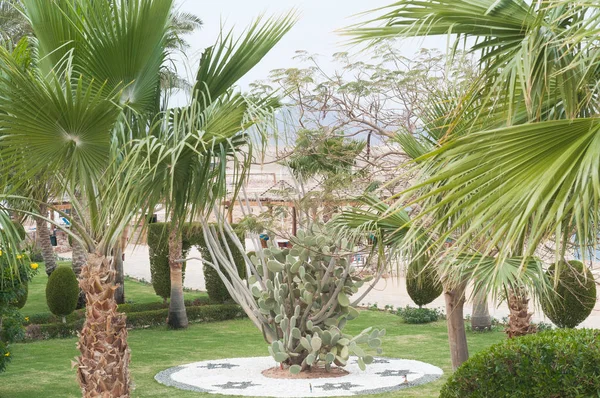  peyzaj tasarımı. Güzel bahçe