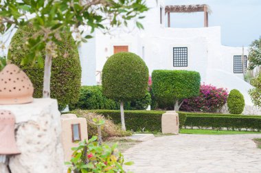 Çalıları ve yeşil çimenleri olan park, manzara tasarımı.