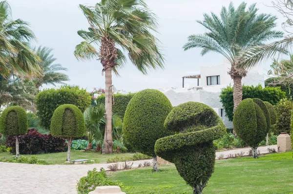 Parque con arbustos y césped verde, diseño de paisaje. —  Fotos de Stock