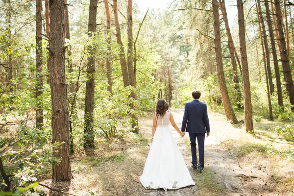 Gelin ve damat bir ormanda