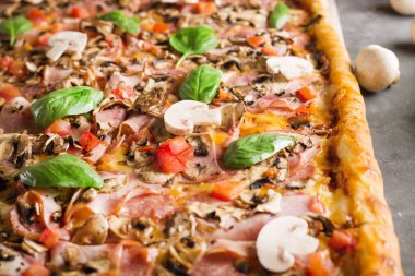 fesleğen domates ve mantar üstten görünüm kare pizza. Boşaltmak.