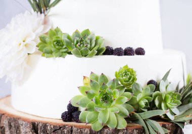 Zarif düğün çiçekleri ve succulents pastayla. Düğün Fotoğraf kavramı