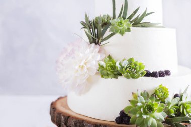 Zarif düğün çiçekleri ve succulents pastayla. Düğün Fotoğraf kavramı