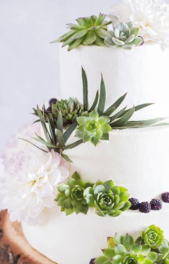 Zarif düğün çiçekleri ve succulents pastayla. Düğün Fotoğraf kavramı