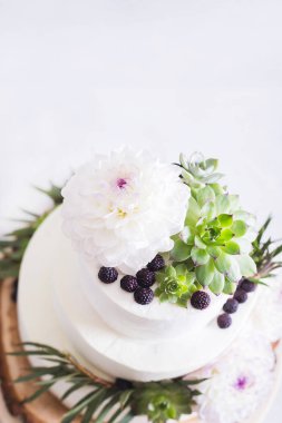 Zarif düğün çiçekleri ve succulents pastayla. Düğün Fotoğraf kavramı