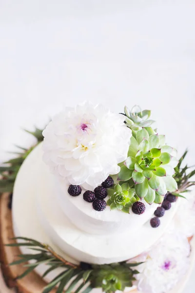 Bolo de casamento elegante com flores e suculentas. Conceito de foto casamento — Fotografia de Stock