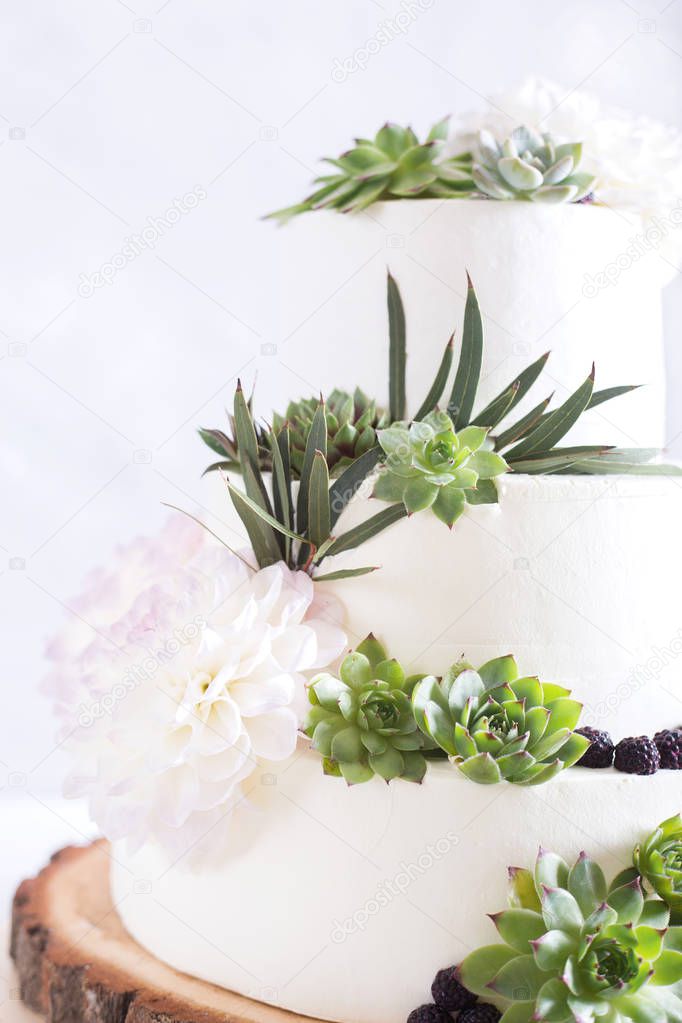 Elegant wedding cake with flowers and succulents. Wedding photo concept
