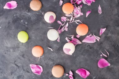 Renkli Fransız çerezleri macaroons gri arka plan. Metin için yer. Portre. Üstten Görünüm. Pişirme macaroons kavramı