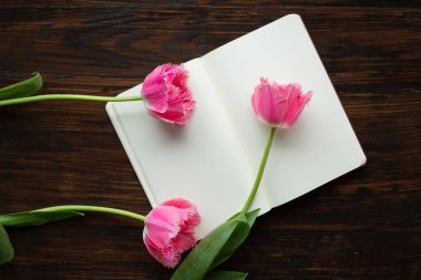 Çiçekler, ahşap arka plan ile ilgili notlar