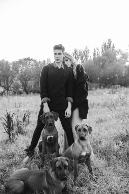 Ağaç Rodezya ridgeback erkek ve kadınlarda tasmalı bir alanda. Genç adam ve ahşap arka plan üzerinde çimenlerin üzerinde oturan bir bayan. Aşk hikayesi. Moda fotoğrafçılığı kavramı. . Oğlan ve kız ile bir köpek yürüyüş