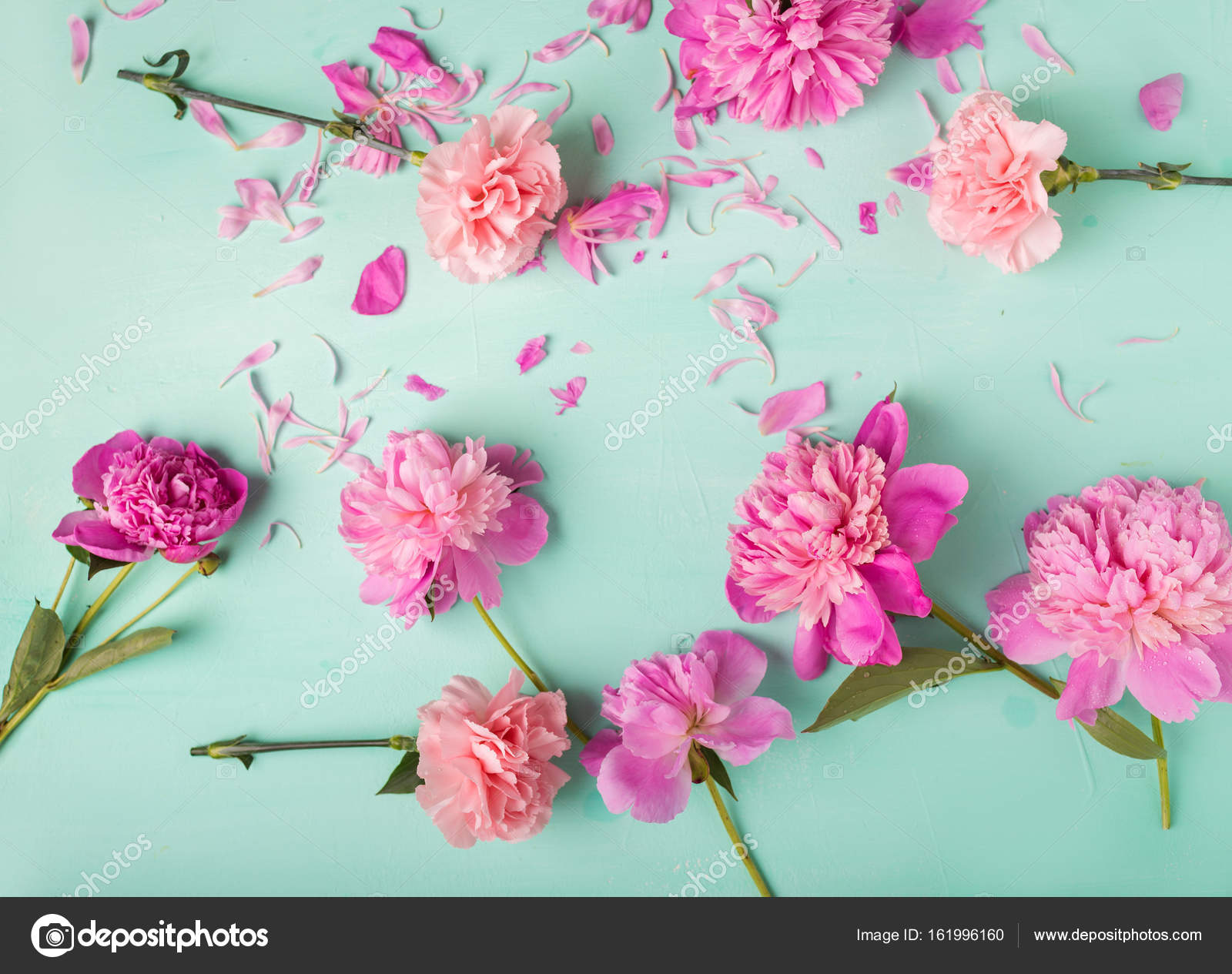 Pink carnations and peonies Stock Photo by ©Avdeyukphoto 161996160