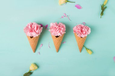 Gözleme koni içinde pembe çiçekler