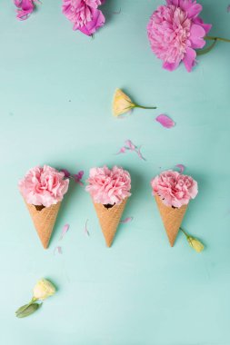 Gözleme koni içinde pembe çiçekler