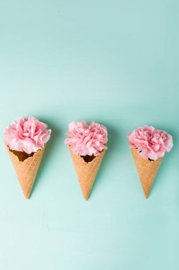 Gözleme koni içinde pembe çiçekler