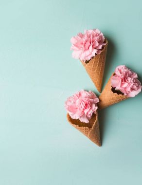 Gözleme koni içinde pembe çiçekler