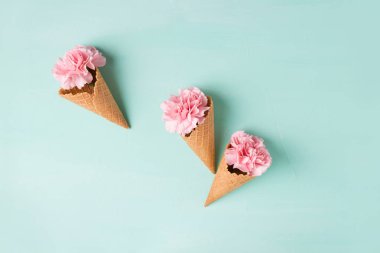 Gözleme koni içinde pembe çiçekler