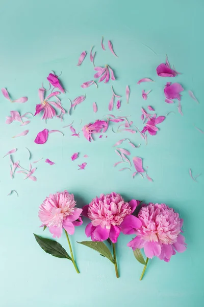 Turkuaz üzerinde pembe peonies