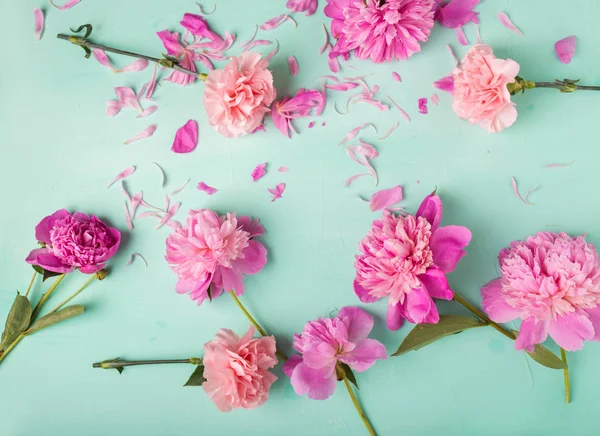 Pembe karanfil ve peonies 