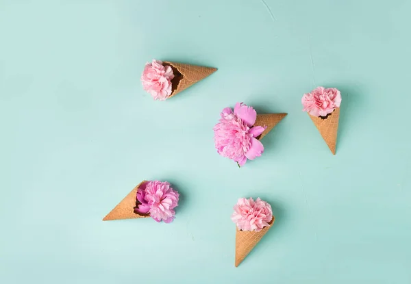 Bunga merah muda dalam wafel cone — Stok Foto