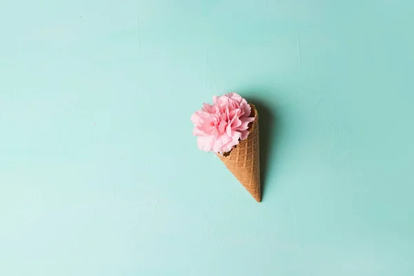 Lagu warna pink dalam waffle cone — Stok Foto