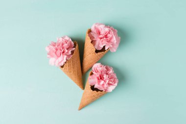 Gözleme koni içinde pembe çiçekler