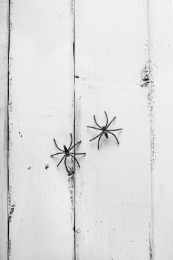 Beyaz tahta arka plan ile iki örümcek. Cadılar Bayramı için arka plan. Boşaltmak