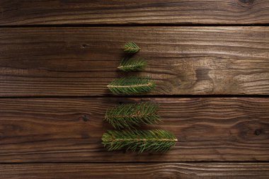 Noel arka plan. Küçük bir ağaç dalları ile