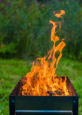 Alevler alev alev yanıyor