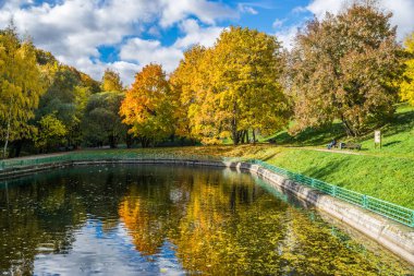 Görüntü sarı ağaçlar yansıtan bir sonbahar park havuz