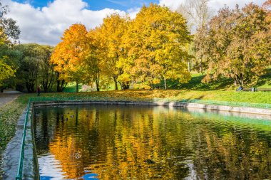 Görüntü sarı ağaçlar yansıtan bir sonbahar park havuz
