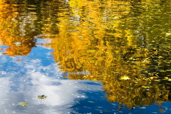 Изображение Отражение осенних желтых деревьев в пруду в парке — стоковое фото