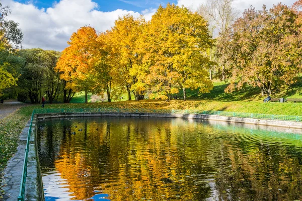 Fényvisszaverő sárga fák őszi parkban egy tó kép — Stock Fotó