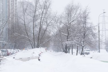 Moskova sokaklarında yoğun kar yağışı.