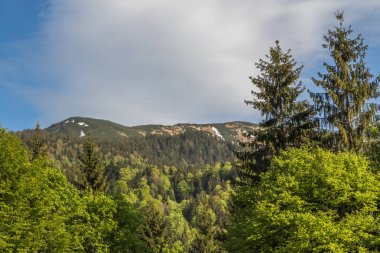 Dağ aralığı Marmarosa. Pip Ivan Dağı. Karpatlar 