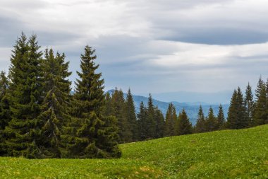 Dağ aralığı Marmarosa. Pip Ivan Dağı. Karpatlar 