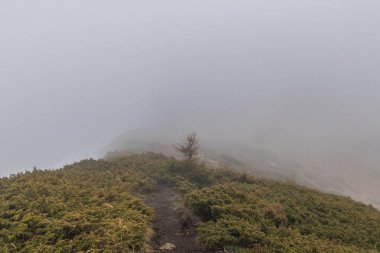 Dağ başında Pop Ivan bulutlar indi. Aşağı görüntülemek