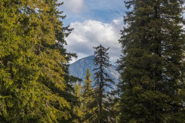 Dağ aralığı Marmarosa. Pip Ivan Dağı. Karpatlar 