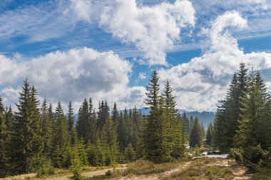 Dağ aralığı Marmarosa. Pip Ivan Dağı. Karpatlar 