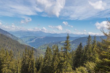 Dağ aralığı Marmarosa. Pip Ivan Dağı. Karpatlar 